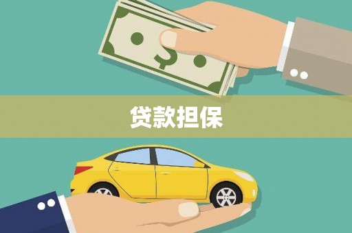 乡城贷款担保