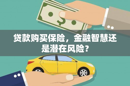 乡城贷款购买保险，金融智慧还是潜在风险？