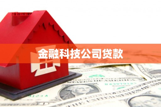 乡城金融科技公司贷款