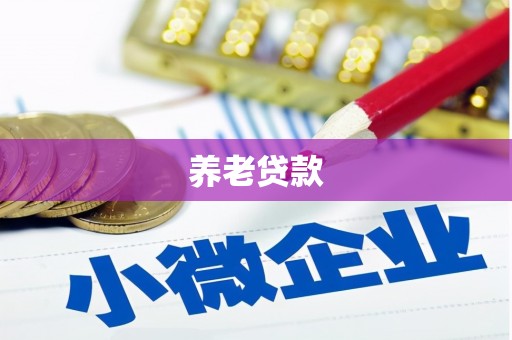 乡城养老贷款