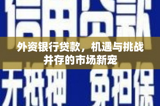 乡城外资银行贷款，机遇与挑战并存的市场新宠