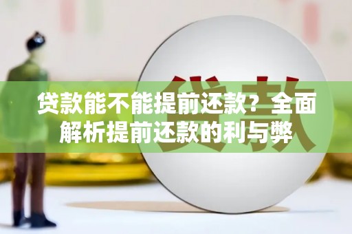 乡城贷款能不能提前还款？全面解析提前还款的利与弊