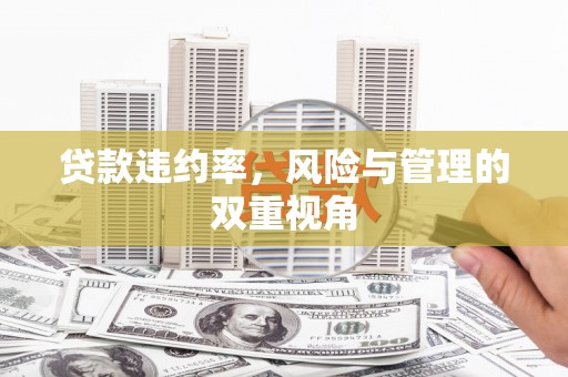 乡城贷款违约率，风险与管理的双重视角