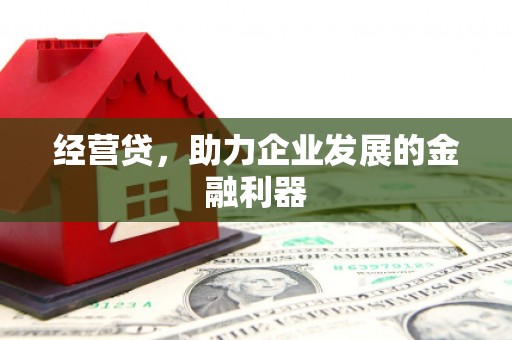 乡城经营贷，助力企业发展的金融利器