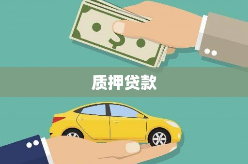 乡城质押贷款