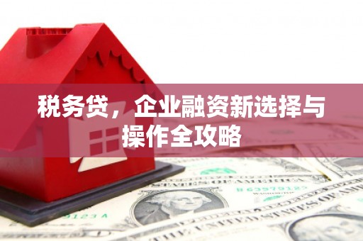 乡城税务贷，企业融资新选择与操作全攻略