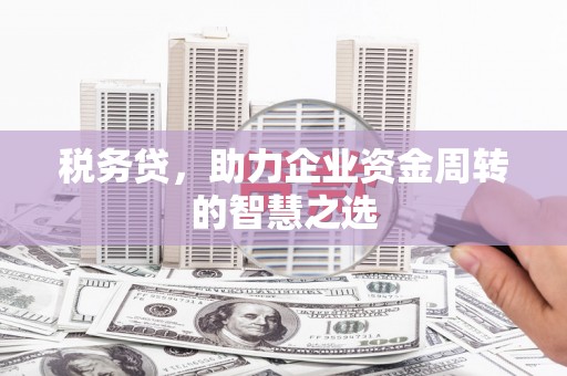 乡城税务贷，助力企业资金周转的智慧之选
