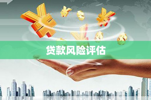 乡城贷款风险评估
