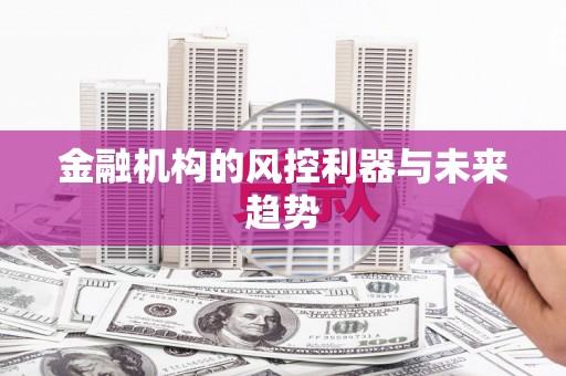乡城金融机构的风控利器与未来趋势