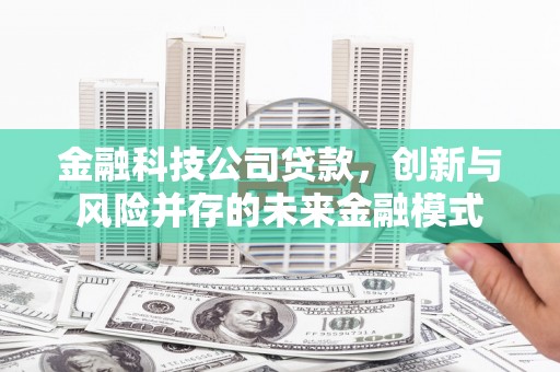 乡城金融科技公司贷款，创新与风险并存的未来金融模式