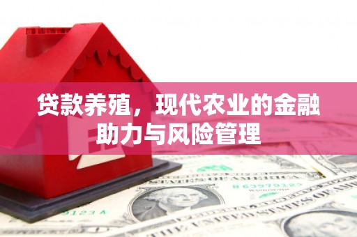 乡城贷款养殖，现代农业的金融助力与风险管理