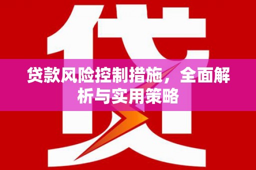 乡城贷款风险控制措施，全面解析与实用策略