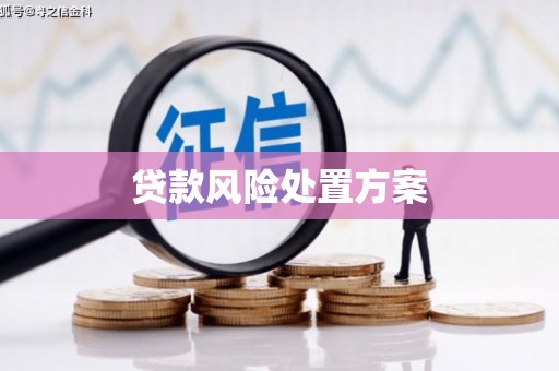 乡城贷款风险处置方案