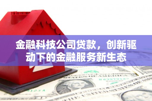 乡城金融科技公司贷款，创新驱动下的金融服务新生态