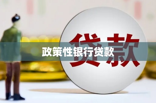 乡城政策性银行贷款