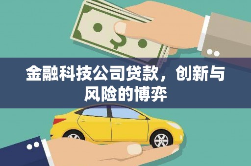 乡城金融科技公司贷款，创新与风险的博弈