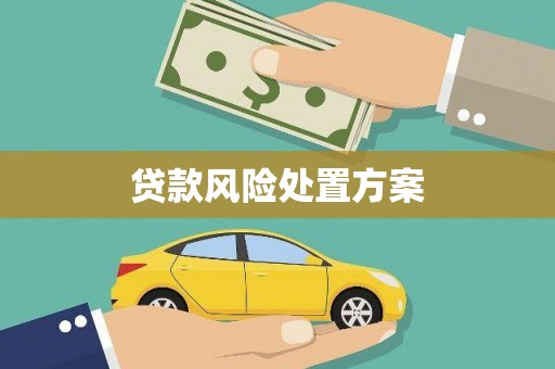 乡城贷款风险处置方案