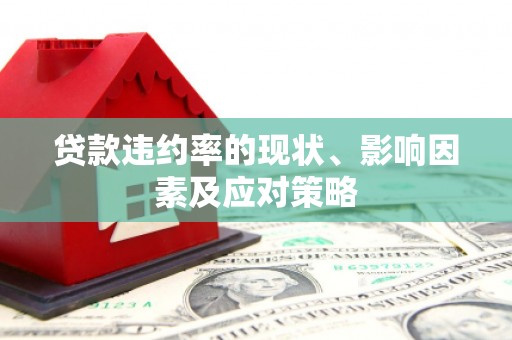 乡城贷款违约率的现状、影响因素及应对策略