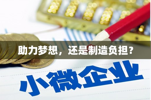 乡城助力梦想，还是制造负担？