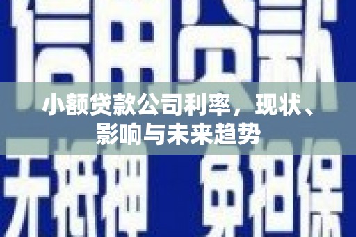 乡城小额贷款公司利率，现状、影响与未来趋势