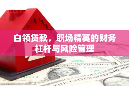 乡城白领贷款，职场精英的财务杠杆与风险管理