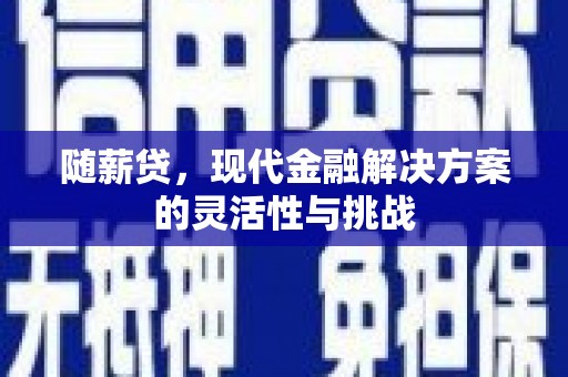乡城随薪贷，现代金融解决方案的灵活性与挑战