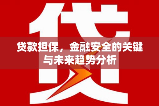 乡城贷款担保，金融安全的关键与未来趋势分析