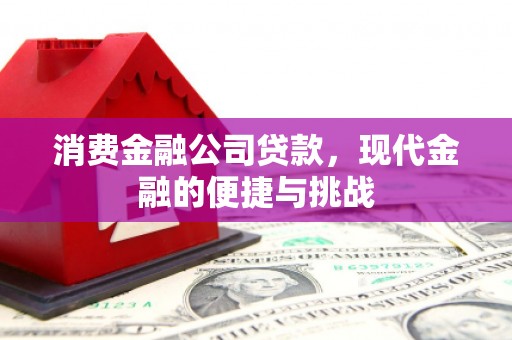 乡城消费金融公司贷款，现代金融的便捷与挑战