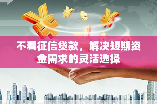 乡城不看征信贷款，解决短期资金需求的灵活选择