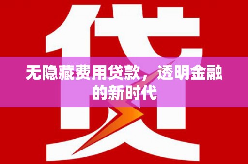 乡城无隐藏费用贷款，透明金融的新时代