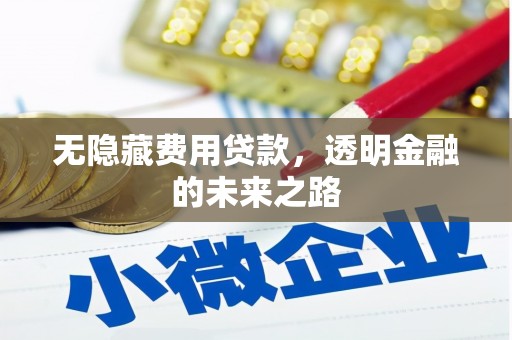 乡城无隐藏费用贷款，透明金融的未来之路