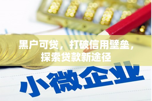 乡城黑户可贷，打破信用壁垒，探索贷款新途径