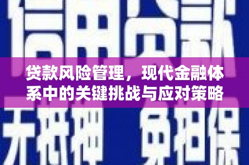 乡城贷款风险管理，现代金融体系中的关键挑战与应对策略
