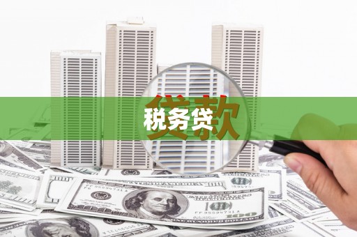 乡城税务贷