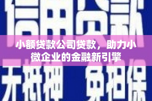 乡城小额贷款公司贷款，助力小微企业的金融新引擎