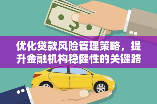 乡城优化贷款风险管理策略，提升金融机构稳健性的关键路径
