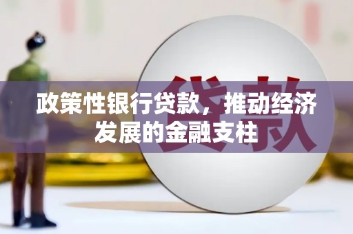 乡城政策性银行贷款，推动经济发展的金融支柱