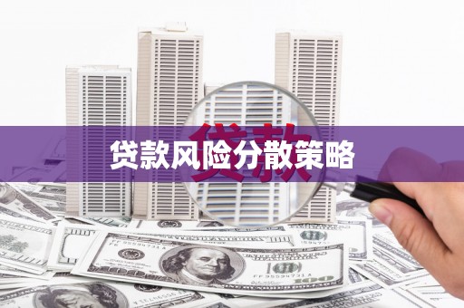 乡城贷款风险分散策略