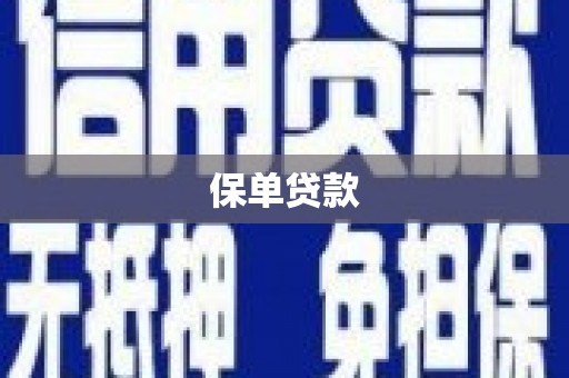 乡城保单贷款