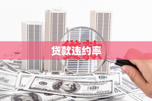 乡城贷款违约率