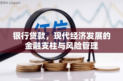 乡城银行贷款，现代经济发展的金融支柱与风险管理
