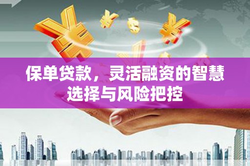 乡城保单贷款，灵活融资的智慧选择与风险把控