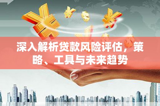 乡城深入解析贷款风险评估，策略、工具与未来趋势