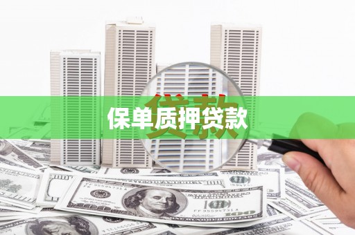乡城保单质押贷款