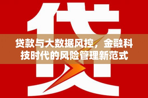 乡城贷款与大数据风控，金融科技时代的风险管理新范式