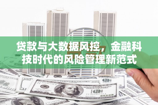 乡城贷款与大数据风控，金融科技时代的风险管理新范式