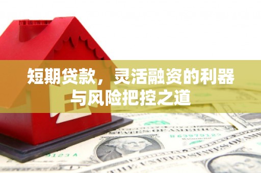 乡城短期贷款，灵活融资的利器与风险把控之道