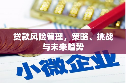 乡城贷款风险管理，策略、挑战与未来趋势