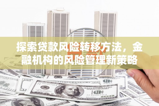 乡城探索贷款风险转移方法，金融机构的风险管理新策略