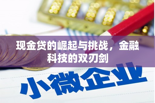 乡城现金贷的崛起与挑战，金融科技的双刃剑